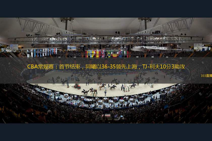 术体系中的